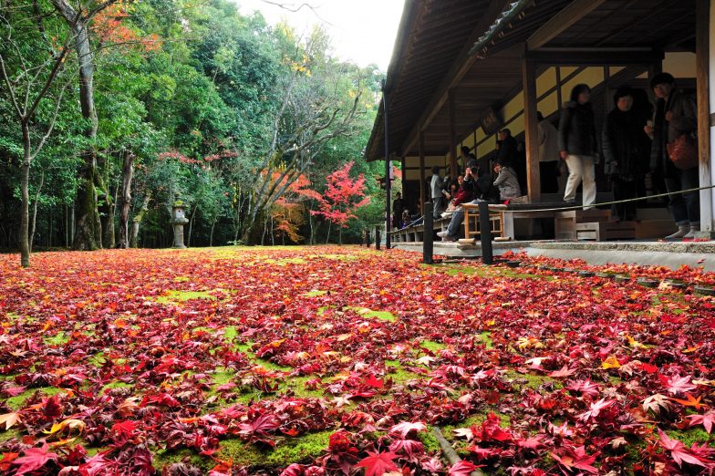 DSC_6070