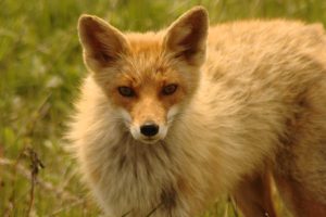 20bb623acfb883d0d8a9e6fc6ed2b94f_o