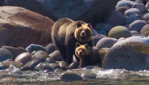 448c62126b5ac9089a52835fb69c9adf_o