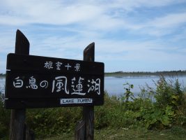 60152c8c264e067c24f779be78439b92_o