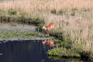 6ca16fa560730fb073d61a337a94d617_o