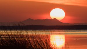 89e1cb7f5e82a2b0186ae947adf728cc_o