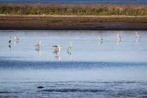 8e9fa7386efdfb13befea9cc869fc8ac_o