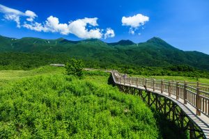 d4b3a9d619db9f10ea5f9adbda8171c5_o