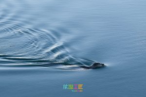 DSC_1651